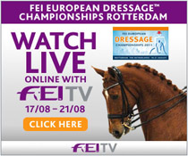 FEI tv