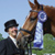 Adequan&reg; Preliminary/Final Awards Standings