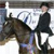 Competitions & Results