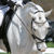 Register a Horse