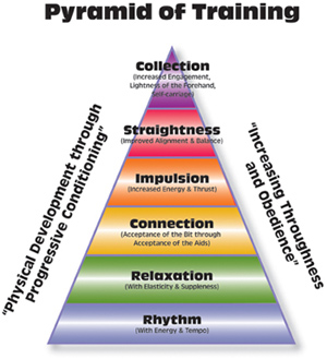 Pyramid of Training